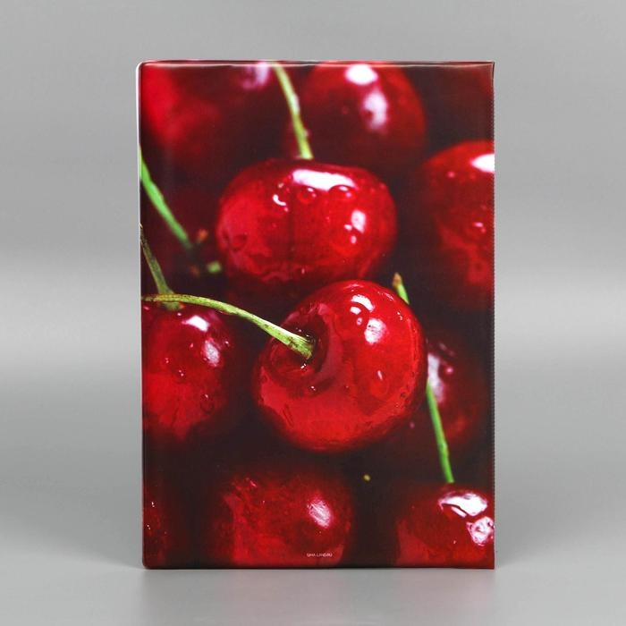 Папка для документов «Docs», 8 файлов А4 Папка для документов «Docs», 8 файлов А4