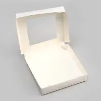 Контейнер на вынос, с окном, белый, 20×20×4 см