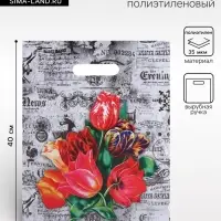 Пакет &laquo;Бристоль&raquo;, полиэтиленовый с вырубной ручкой, 30&times;40 см, 35 мкм