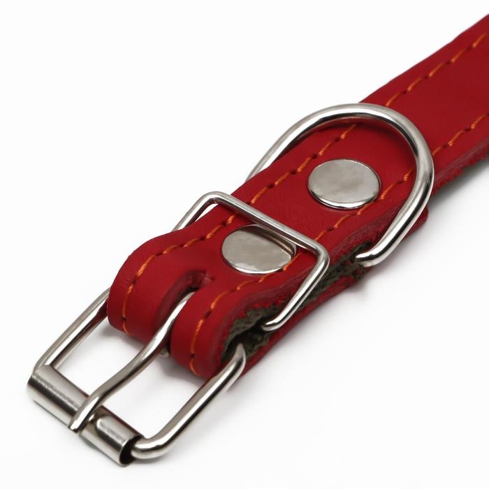Ошейник комбинированный кожа/брезент, 53 х 2.5 см, ОШ 35-45 см, красный Ошейник комбинированный кожа/брезент, 53 х 2.5 см, ОШ 35-45 см, красный