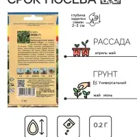 Семена Огурец &laquo;Эколь&raquo;, F1, 0.2 г, &laquo;УРОЖАЙ УДАЧИ&raquo;