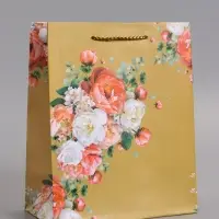 Пакет подарочный ламинированный &laquo;Мгновение&raquo;, 18&times;22.3&times;10 см