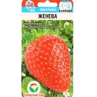 Семена Земляника &laquo;Женева&raquo;, 10 шт., крупноплодная, &laquo;Сибирский сад&raquo;