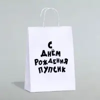 Пакет подарочный с приколами, крафт «Пупсик», белый, 24×14×28 см, 1 шт.