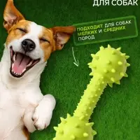 Жевательная игрушка для собак &laquo;Грозная гантель&raquo;, 15&times;5 см, салатовая