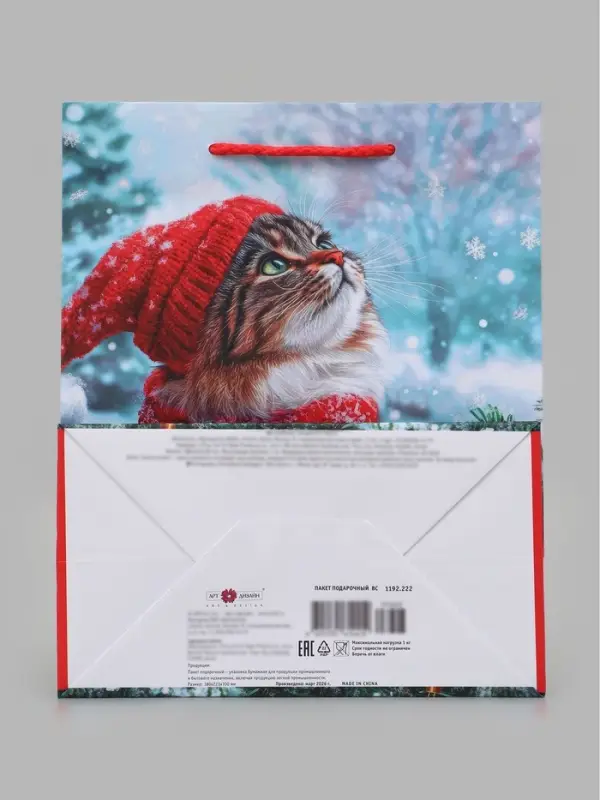 Пакет подарочный &laquo;Котик в красной шапке&raquo;, 18&times;10&times;22.3 см