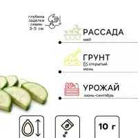 Семена Кабачок &laquo;Белоплодный&raquo;, 10 г, &laquo;Агроуспех&raquo;