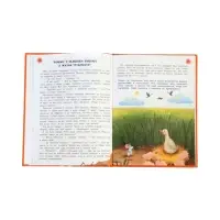 Сказочный учебник дошкольника. Самые важные вопросы. Ульева Е., 2025