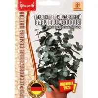 Семена Эвкалипт Baby Blue Bouquet припудренный 3шт. / НОВИНКА  12.29 г.