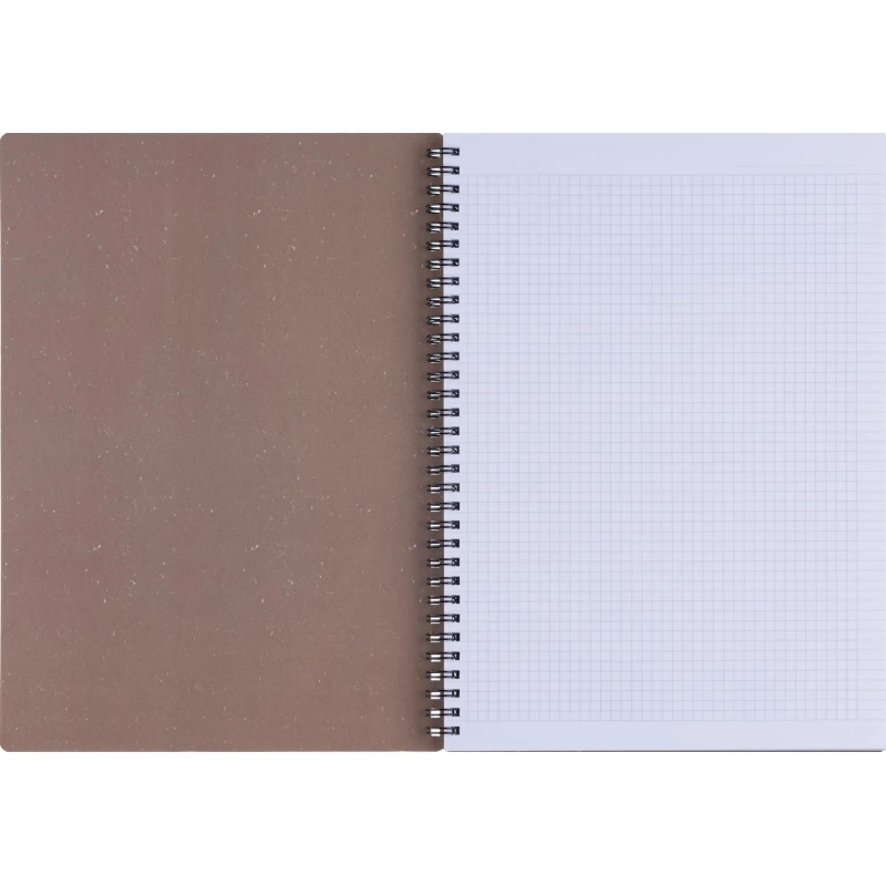 Бизнес-тетрадь, BS, А4, 96л., клетка, мягкий, спираль. Flora, инжир, N4283