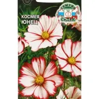 Семена цветок космея &laquo;Юнец&raquo;, 0.3 г