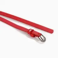 Ремень женский, пряжка металл, 1 прокол, 1.4&times;105 см, красный
