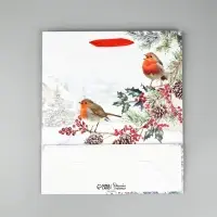 Набор пакетов «Новый год», 3 шт, 26 × 30 × 9 см Набор пакетов «Новый год», 3 шт, 26 × 30 × 9 см