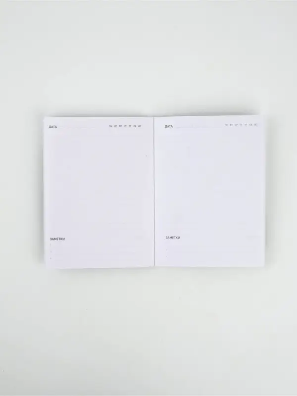 Подарочный набор: ежедневник А6 80 листов и термостакан 250 мл Подарочный набор: ежедневник А6 80 листов и термостакан 250 мл "Карусель"