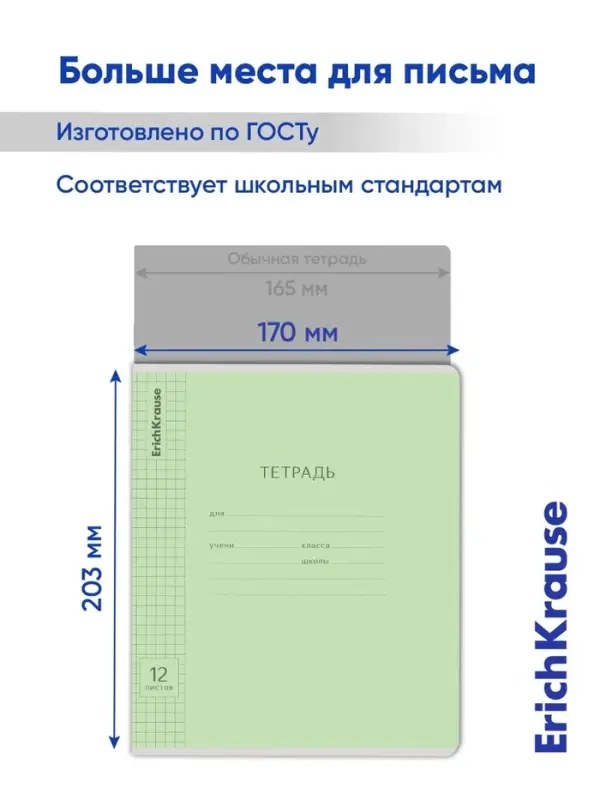 Тетрадь 12 листов в клетку ErichKrause &laquo;Классика&raquo;, обложка мелованный картон, зелёная