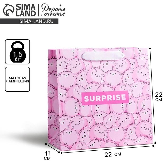 Пакет подарочный ламинированный квадратный, упаковка, Surprise, 22 х 22 х 11 см