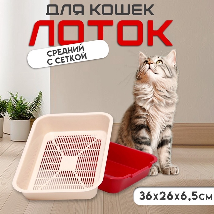 Туалет средний с сеткой 36 х 26 х 6,5 см, бежевый/красный Туалет средний с сеткой 36 х 26 х 6,5 см, бежевый/красный