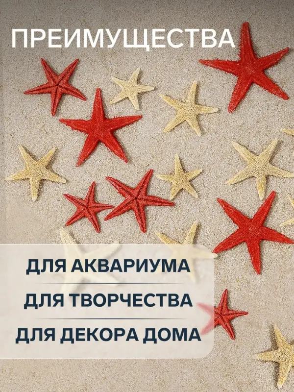 Набор натуральных морских звезд, 1.5 - 2.5 см, 20 шт., красные - белые