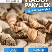 Набор ракушек 100 г