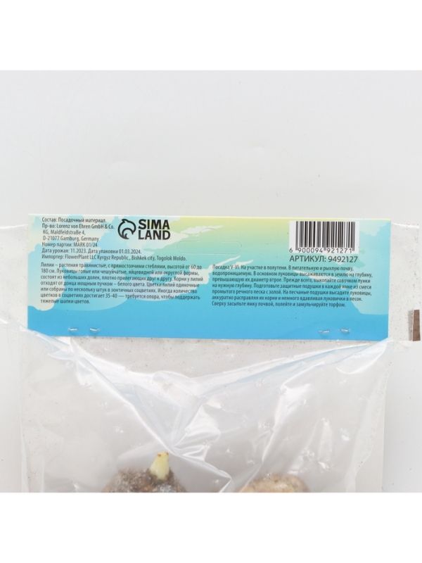 Лилия Азиатская Кашпо Cascavel, луковица в пакете с перфорацией, р-р 12/14, 2 шт.