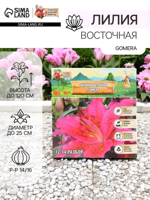 Лилия Восточная Gomera, луковица в пакете с перфорацией, р-р 14/16, 3 шт.