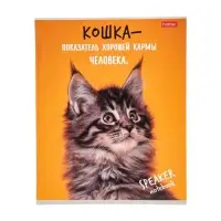 Тетрадь 40л А5ф кл 60-65г/кв.м на скобе Обл. мел.картон  серия -Кот говорит!- МИКС