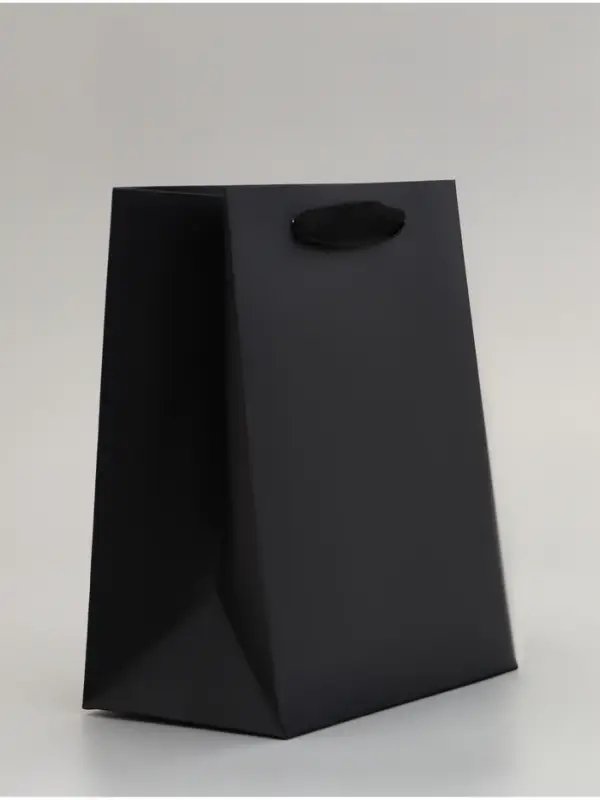 Пакет подарочный, с окном, 20&times;15&times;10 см, чёрный