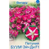 Семена цветов Петуния БУУМ! Эйч Ди F1 Роуз Стар многоцветковая (драже) Benary, Ц/П,7 шт. Семена цветов Петуния БУУМ! Эйч Ди F1 Роуз Стар многоцветковая (драже) Benary, Ц/П,7 шт.