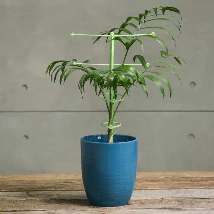 Поддержка для растений, h=42 см, цвет МИКС Поддержка для растений, h=42 см, цвет МИКС