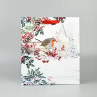 Набор пакетов «Новый год», 3 шт, 26 × 30 × 9 см Набор пакетов «Новый год», 3 шт, 26 × 30 × 9 см