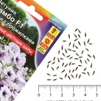 Семена Цветов Петуния &laquo;Мамбо&raquo; F1, синяя с прожилками, пробирка, 7 шт.