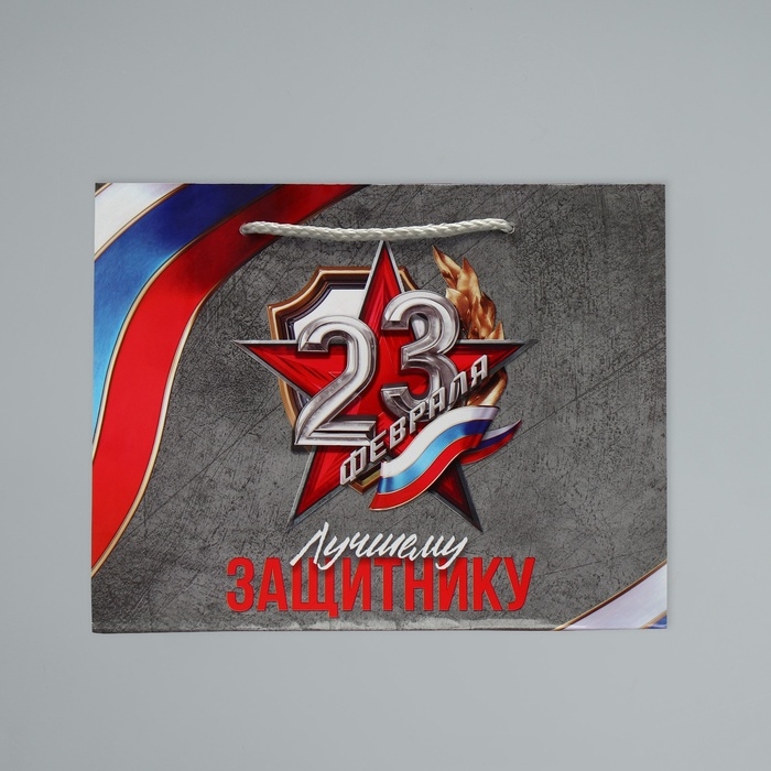 Пакет подарочный ламинированный, упаковка, «Лучшему защитнику», MS 23 х 18 х 8 см Пакет подарочный ламинированный, упаковка, «Лучшему защитнику», MS 23 х 18 х 8 см