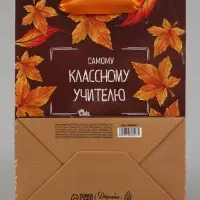 Пакет подарочный ламинированный, упаковка, &laquo;Классному учителю&raquo;, MS 18&times;23&times;10 см