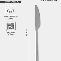 Нож столовый &laquo;Тайфун&raquo;, длина 22.5 см, нержавеющая сталь, серебристый