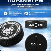 Шайба хоккейная Winter Star, взрослая, d=7.6 см