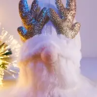 Светодиодная фигура &laquo;Гном белая шапочка&raquo; 33 см, 1 LED, от батареек AG10&times;3, свечение тёплое белое