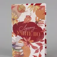 Подарочный набор &laquo;Учитель&raquo;, пакет и открытка, ML 27 &times; 23 &times; 11,5 см