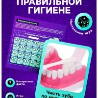 Набор для опытов &laquo;Анатомия&raquo;, челюсть человека