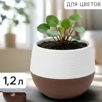 Горшок цветочный &laquo;Япония&raquo;, 1.2 л, d=16 см, h=14 см, пластиковый, бело-коричневый