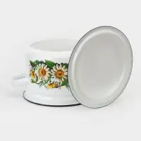 Кастрюля эмалированная, 2 л, с крышкой, деколь МИКС, белая