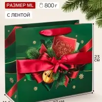 Пакет подарочный с лентой &laquo;Счастья в Новом году&raquo;, ML 27&times;23&times;11.5 см