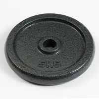 Диск 5 кг, d=29 мм