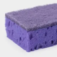 Набор губок для мытья посуды Raccoon &laquo;Версаль&raquo;, 5 шт., 9&times;6.5&times;3.5 см, крупнопористый поролон, фиолетовый