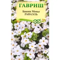 Семена цветов Бакопа Манье &laquo;Рафаэль&raquo; гранулы, 3 шт.