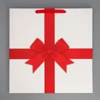 Пакет подарочный квадратный Red, 40&times;40&times;40 см