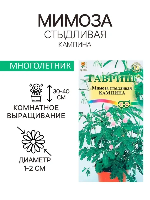 Семена комнатных цветов Мимоза "Кампина", ц/п,  0,1 г