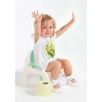 Горшок - стульчик с крышкой, мятный