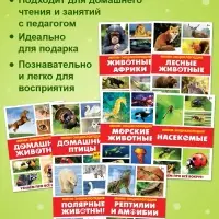 Мини - энциклопедии &laquo;Мир животных&raquo;, 8 шт. по 20 стр.