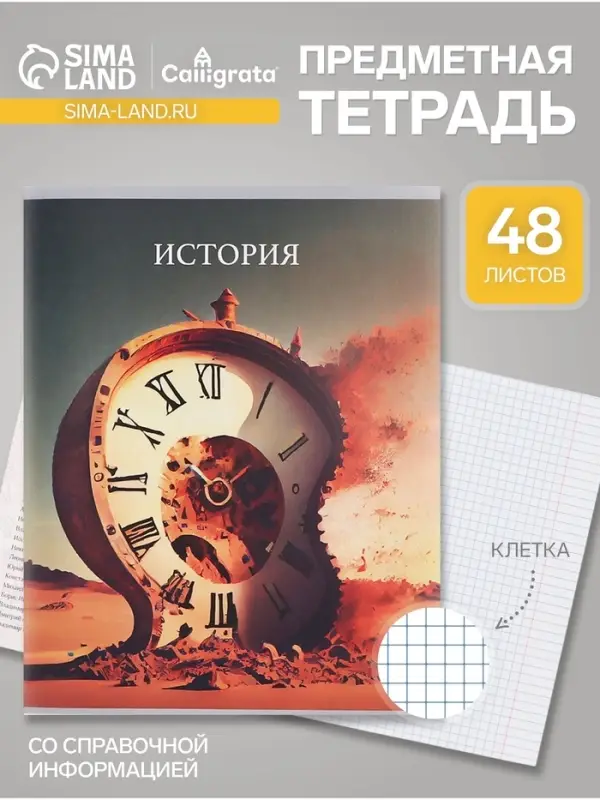Предметная тетрадь по истории Calligrata TOP &laquo;Школьный стиль&raquo;, 48 листов, в клетку, со справочным материалом, пластиковая обложка