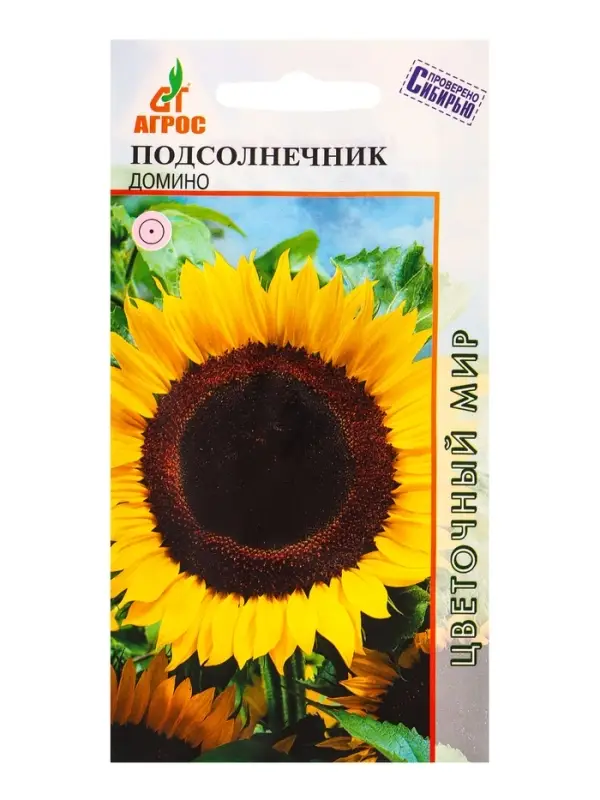 Семена Подсолнечник Семена Подсолнечник "Домино" 1 г